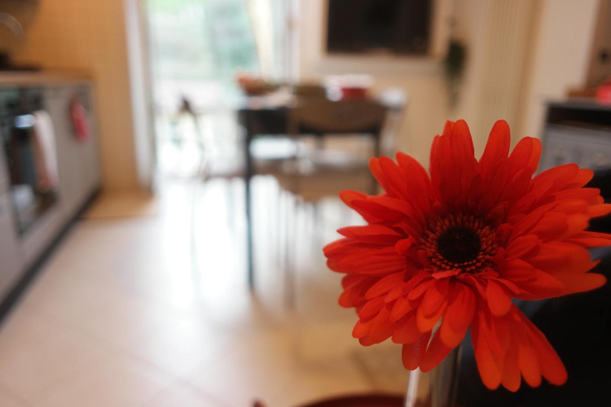 Il Nido Di Mariro Apartment Специя Екстериор снимка